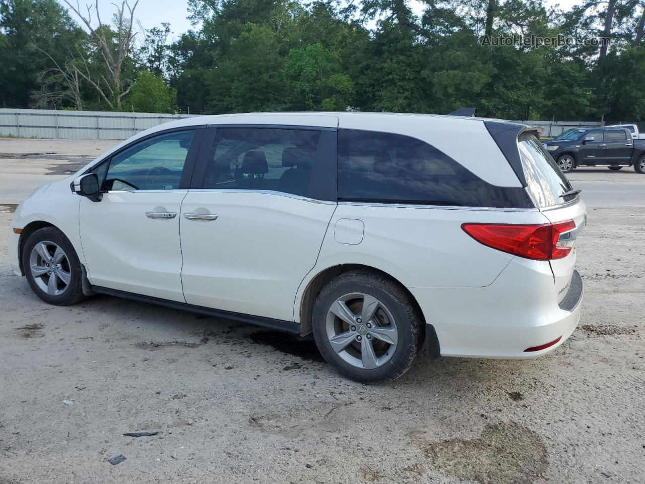 2019 Honda Odyssey Exl White vin: 5FNRL6H77KB097396