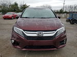 2019 Honda Odyssey Exl Бордовый vin: 5FNRL6H77KB121986