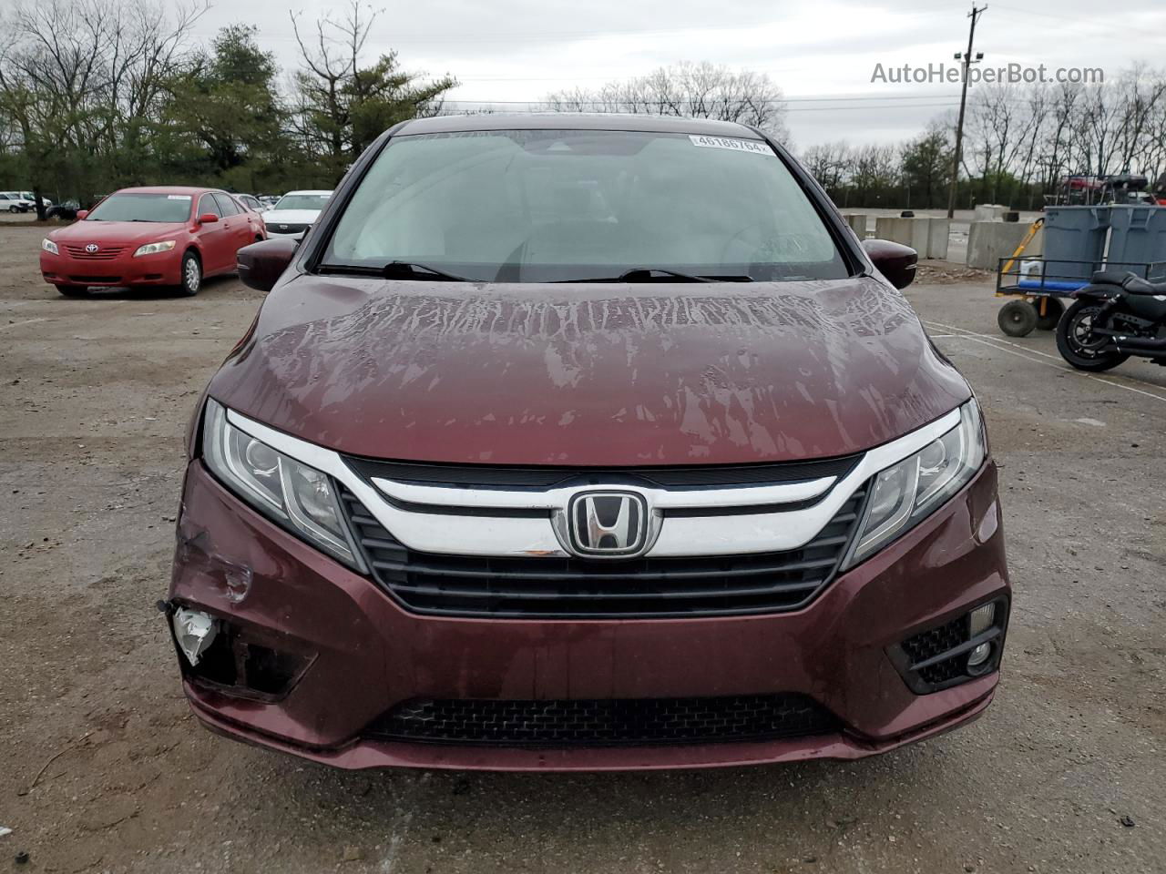 2019 Honda Odyssey Exl Бордовый vin: 5FNRL6H77KB121986