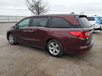 2019 Honda Odyssey Exl Бордовый vin: 5FNRL6H77KB121986