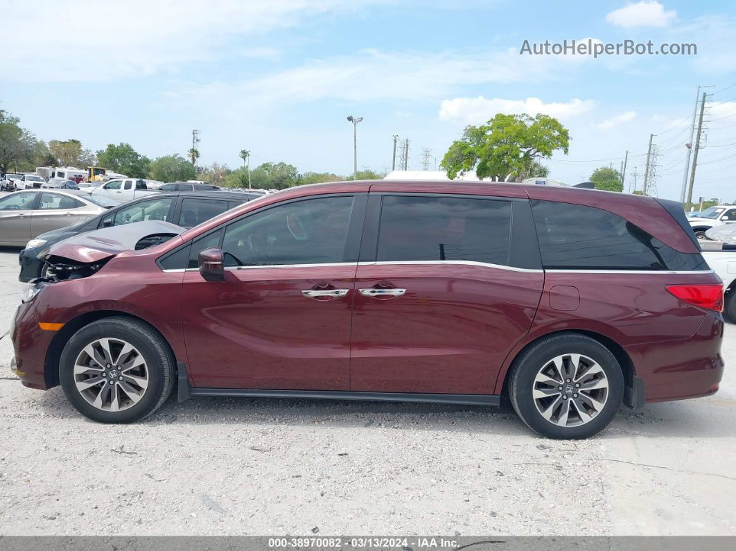 2021 Honda Odyssey Ex-l Burgundy vin: 5FNRL6H77MB005223