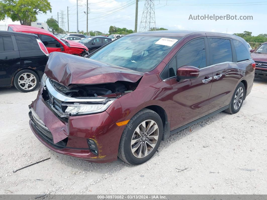 2021 Honda Odyssey Ex-l Burgundy vin: 5FNRL6H77MB005223