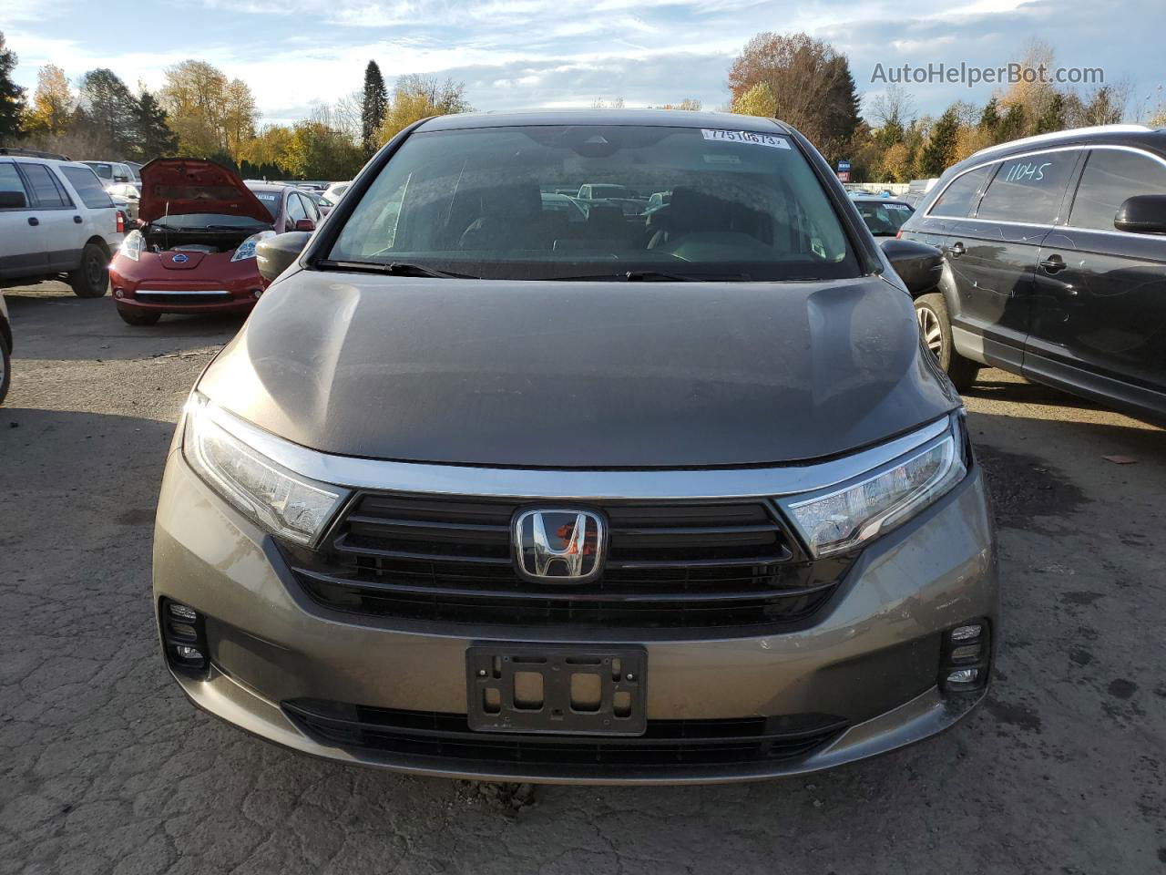 2021 Honda Odyssey Exl Gray vin: 5FNRL6H77MB019123