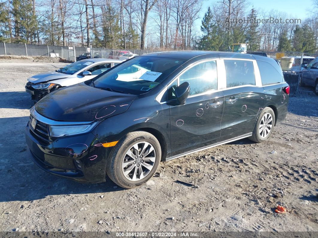 2021 Honda Odyssey Ex-l Black vin: 5FNRL6H77MB027660