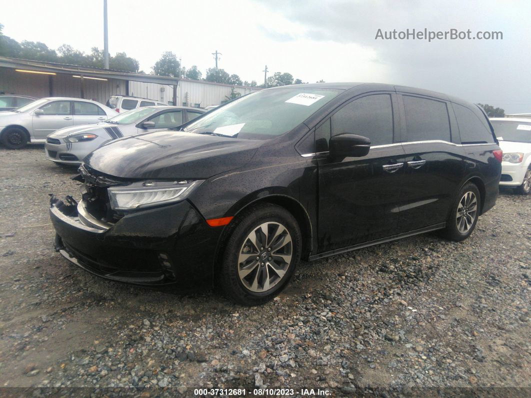 2021 Honda Odyssey Ex-l Black vin: 5FNRL6H77MB030333