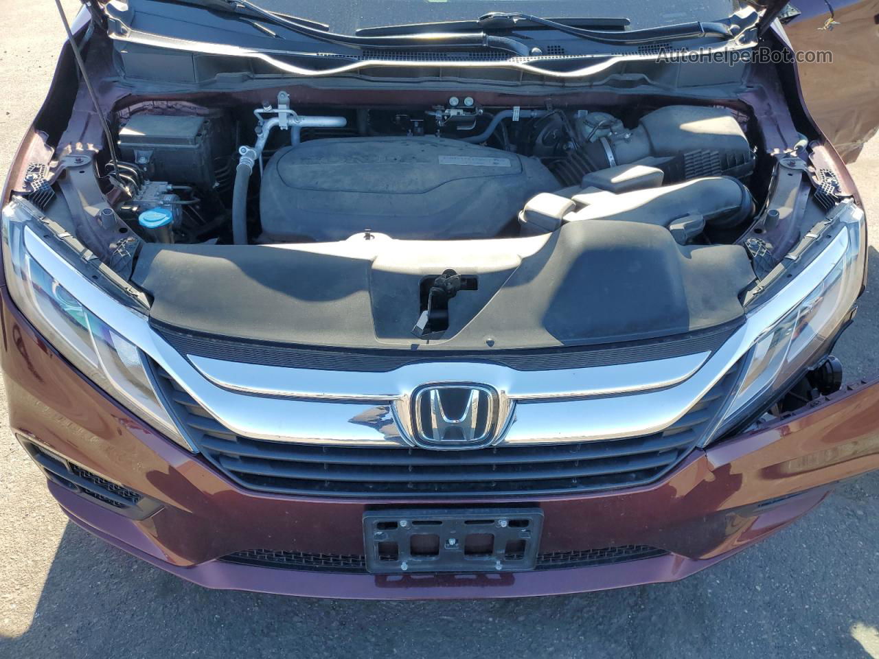 2019 Honda Odyssey Exl Burgundy vin: 5FNRL6H78KB026658