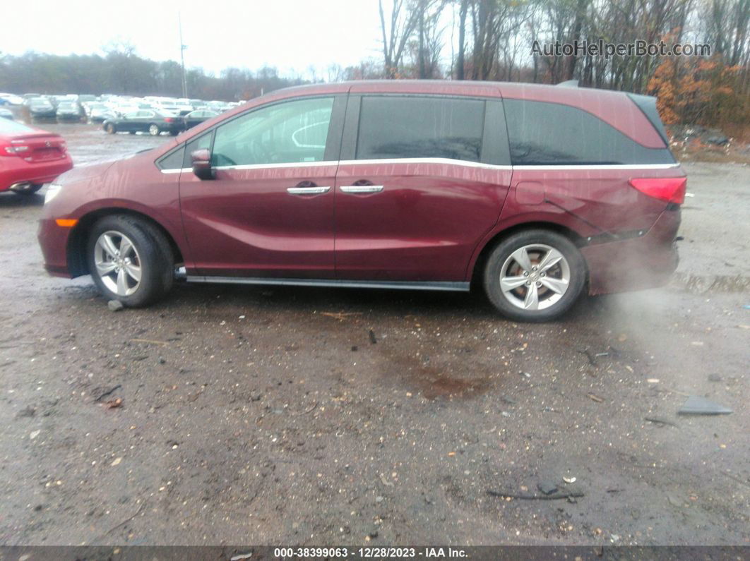 2019 Honda Odyssey Ex-l Burgundy vin: 5FNRL6H78KB048708