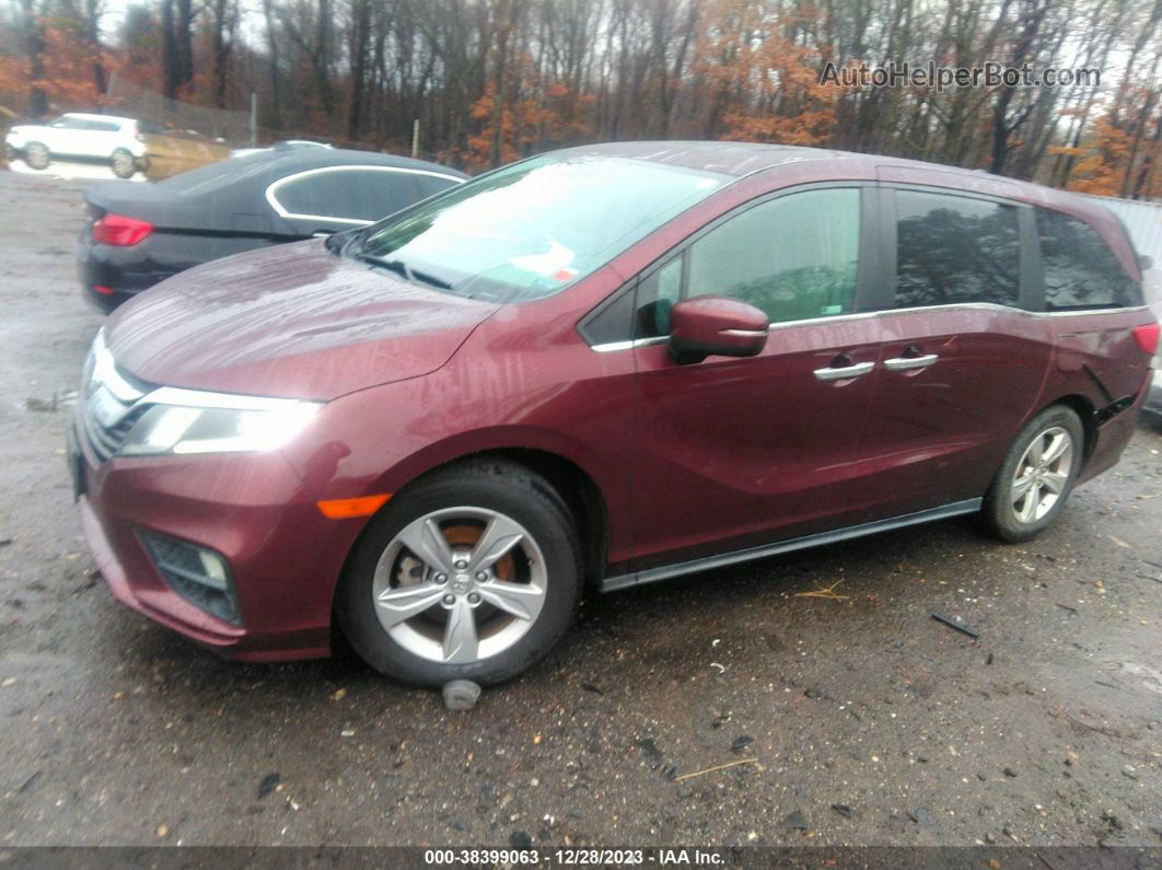 2019 Honda Odyssey Ex-l Burgundy vin: 5FNRL6H78KB048708