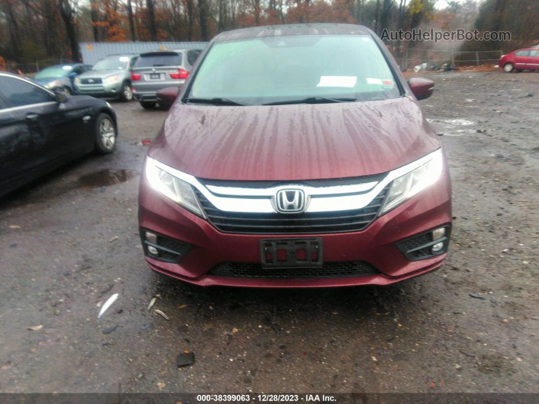 2019 Honda Odyssey Ex-l Burgundy vin: 5FNRL6H78KB048708