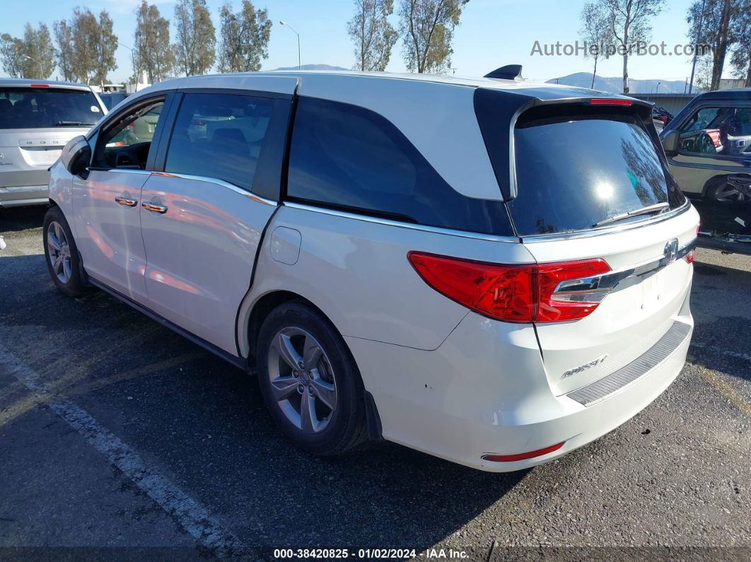 2019 Honda Odyssey Ex-l White vin: 5FNRL6H78KB081112