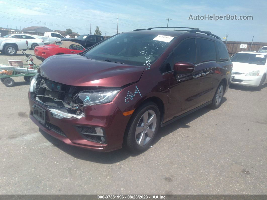 2019 Honda Odyssey Ex-l Maroon vin: 5FNRL6H78KB111337