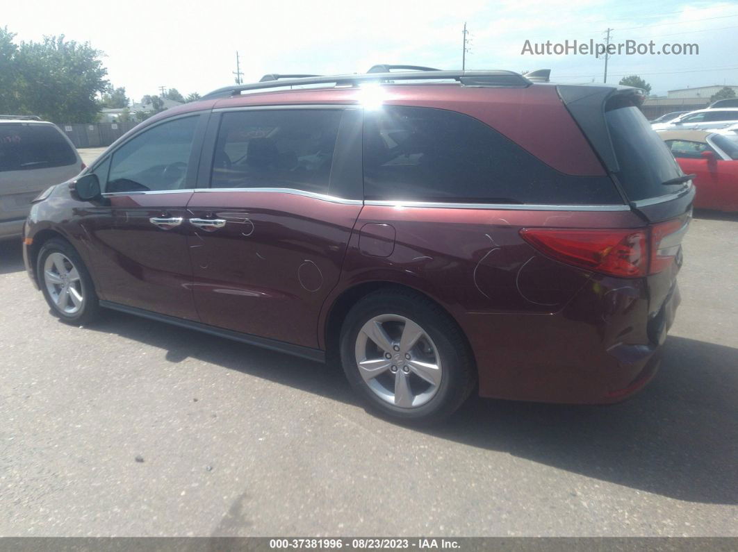 2019 Honda Odyssey Ex-l Maroon vin: 5FNRL6H78KB111337