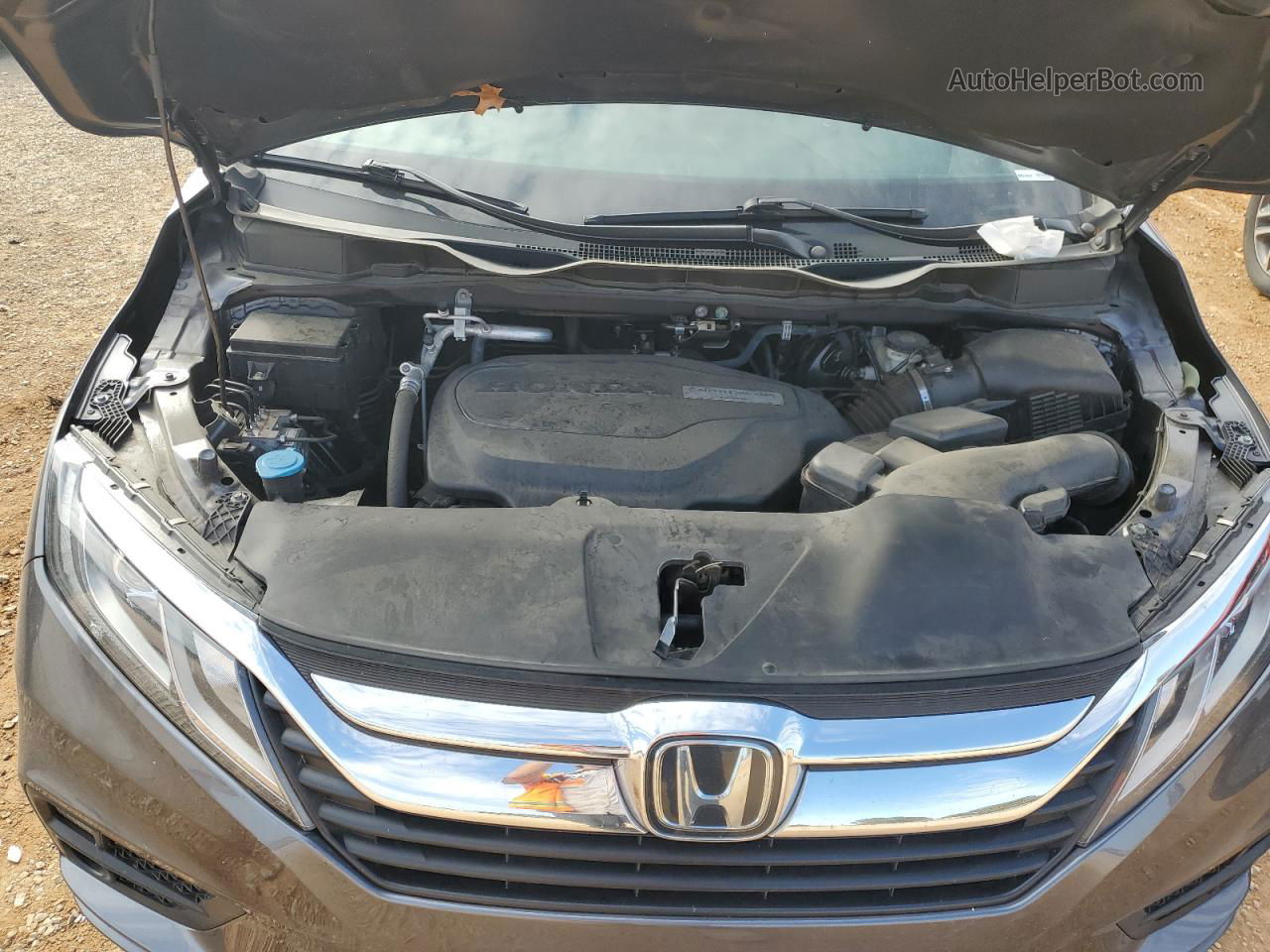 2019 Honda Odyssey Exl Gray vin: 5FNRL6H78KB138201