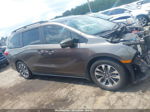 2021 Honda Odyssey Ex-l Brown vin: 5FNRL6H78MB011970