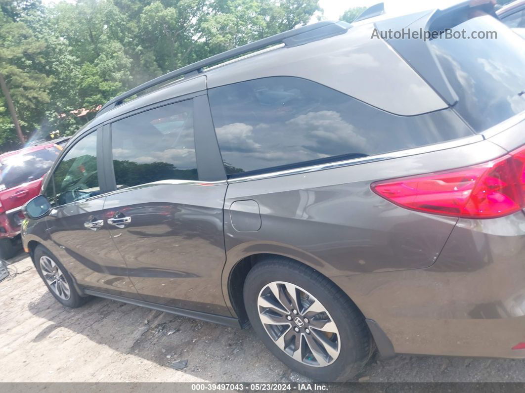 2021 Honda Odyssey Ex-l Brown vin: 5FNRL6H78MB011970