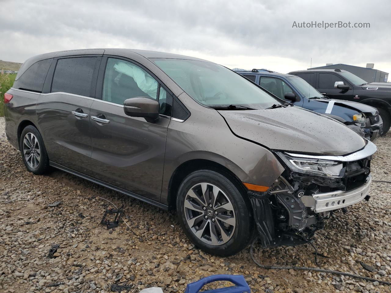 2021 Honda Odyssey Exl Brown vin: 5FNRL6H78MB021138