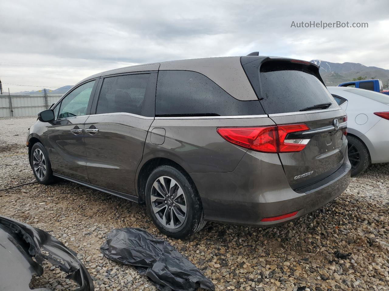 2021 Honda Odyssey Exl Коричневый vin: 5FNRL6H78MB021138