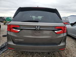 2021 Honda Odyssey Exl Brown vin: 5FNRL6H78MB021138