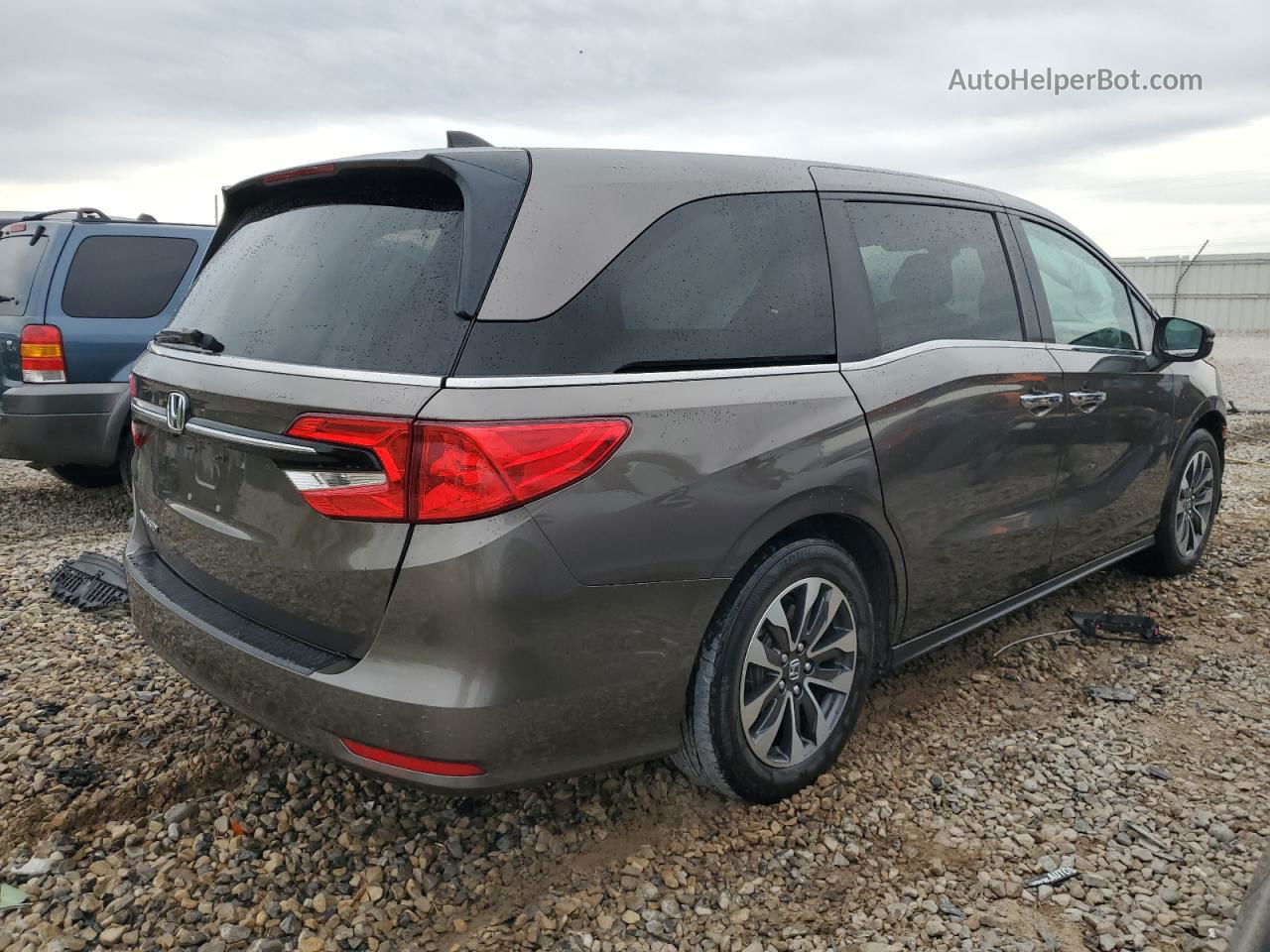 2021 Honda Odyssey Exl Коричневый vin: 5FNRL6H78MB021138