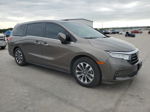 2021 Honda Odyssey Exl Gray vin: 5FNRL6H78MB031877