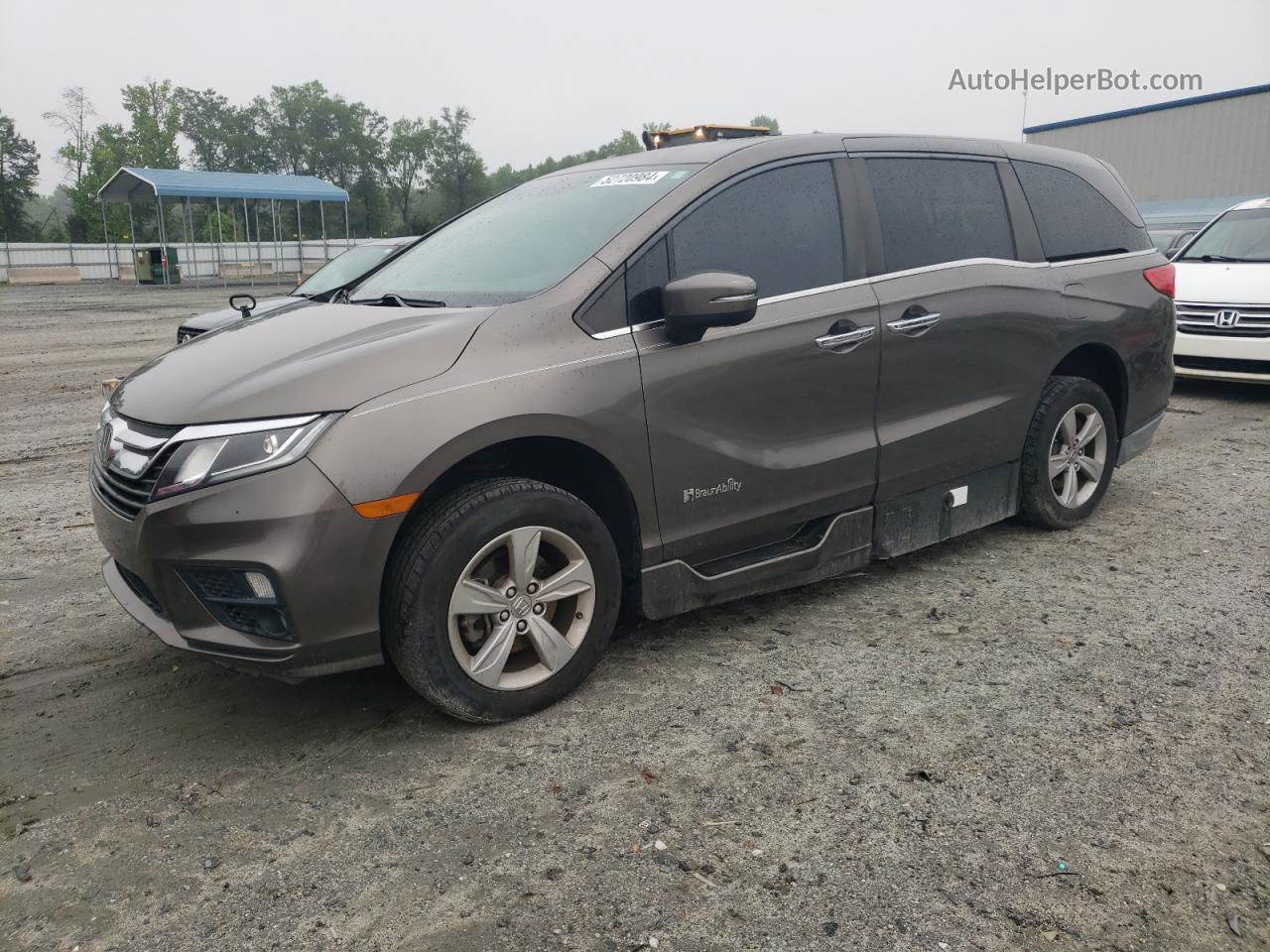 2019 Honda Odyssey Exl Gray vin: 5FNRL6H79KB008458