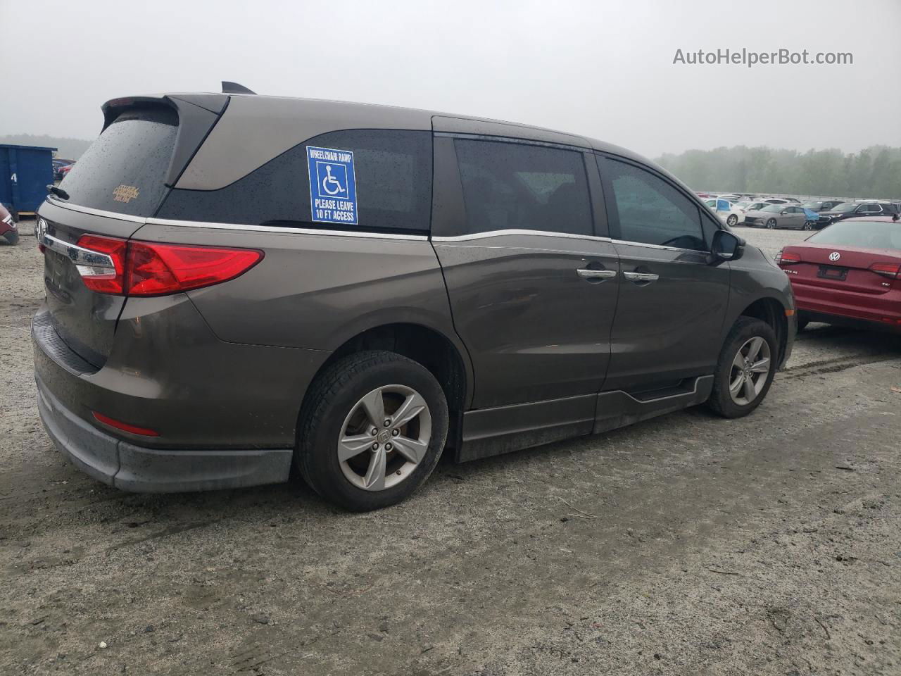 2019 Honda Odyssey Exl Gray vin: 5FNRL6H79KB008458