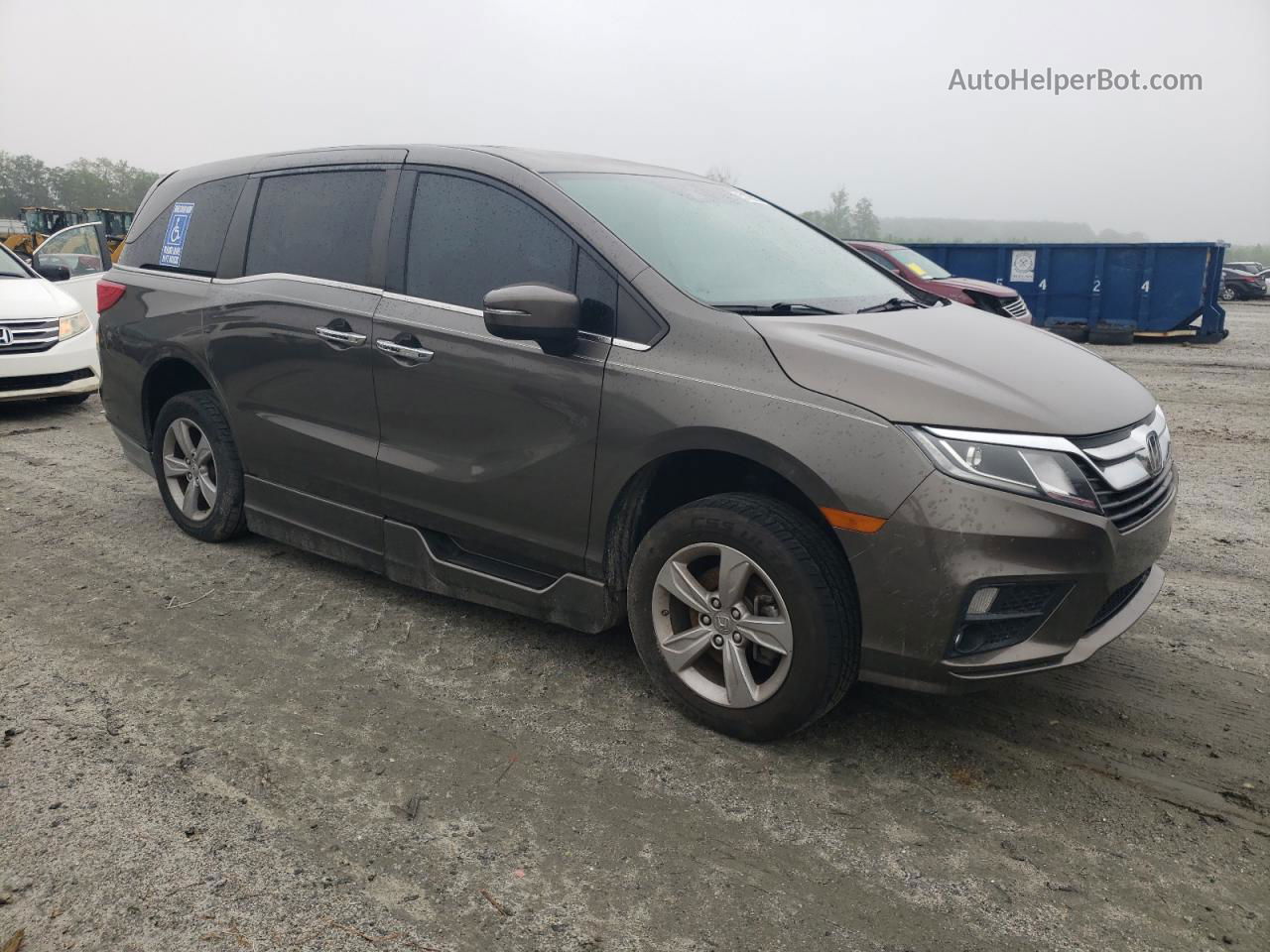 2019 Honda Odyssey Exl Gray vin: 5FNRL6H79KB008458