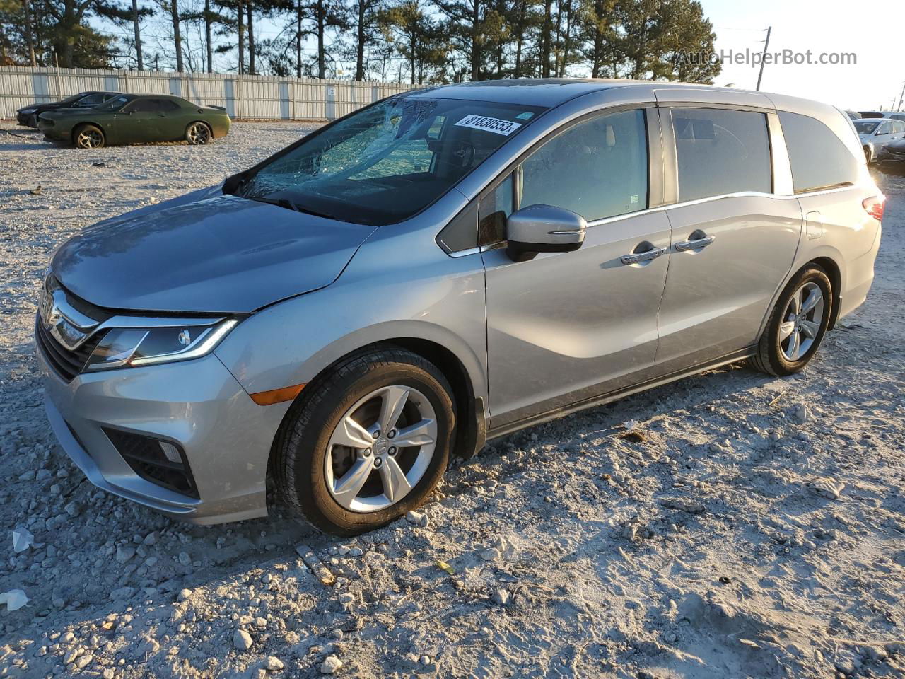 2019 Honda Odyssey Exl Silver vin: 5FNRL6H79KB023400