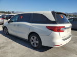 2019 Honda Odyssey Exl White vin: 5FNRL6H79KB032789