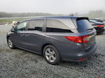 2019 Honda Odyssey Exl Gray vin: 5FNRL6H79KB040617