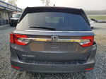 2019 Honda Odyssey Exl Серый vin: 5FNRL6H79KB040617