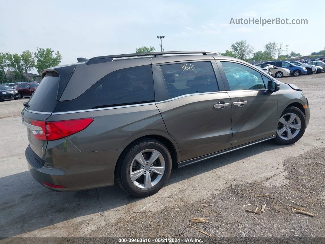 2019 Honda Odyssey Ex-l Brown vin: 5FNRL6H79KB074198