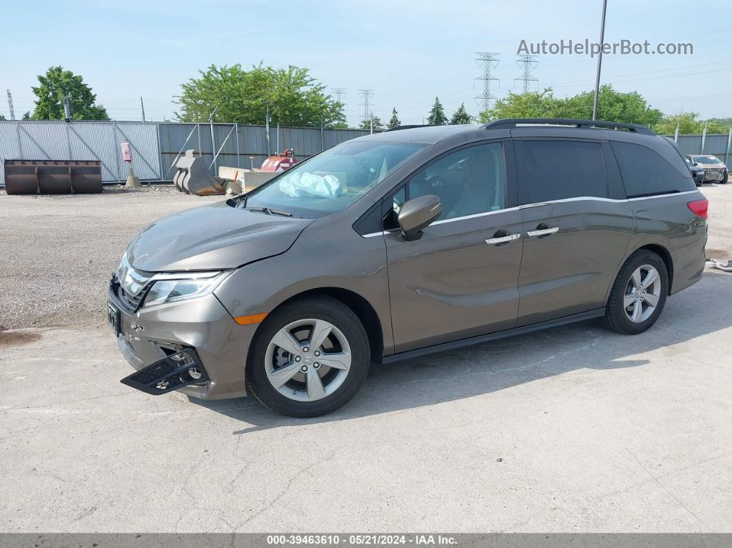 2019 Honda Odyssey Ex-l Brown vin: 5FNRL6H79KB074198