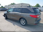 2019 Honda Odyssey Ex-l Brown vin: 5FNRL6H79KB074198