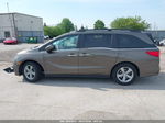 2019 Honda Odyssey Ex-l Brown vin: 5FNRL6H79KB074198