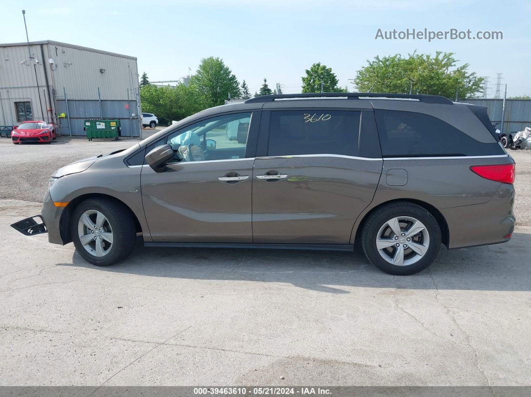 2019 Honda Odyssey Ex-l Brown vin: 5FNRL6H79KB074198