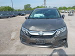 2019 Honda Odyssey Ex-l Brown vin: 5FNRL6H79KB074198