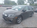 2019 Honda Odyssey Ex-l Gray vin: 5FNRL6H79KB119270