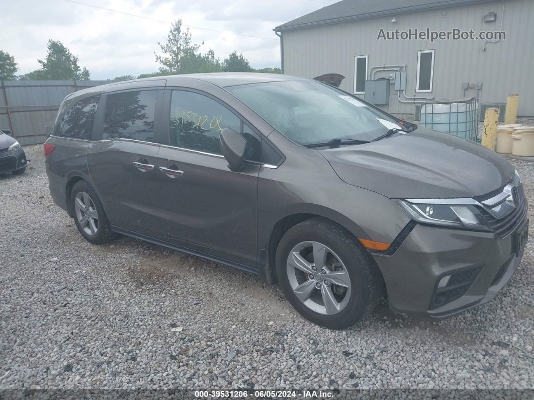 2019 Honda Odyssey Ex-l Gray vin: 5FNRL6H79KB119270