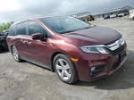 2020 Honda Odyssey Exl Burgundy vin: 5FNRL6H79LB007926