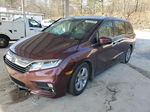 2020 Honda Odyssey Exl Бордовый vin: 5FNRL6H79LB029831