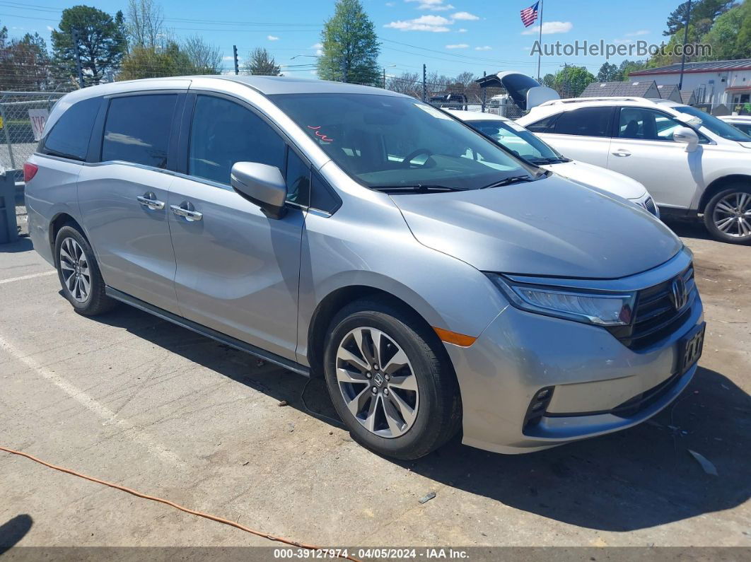 2021 Honda Odyssey Ex-l Gray vin: 5FNRL6H79MB000587