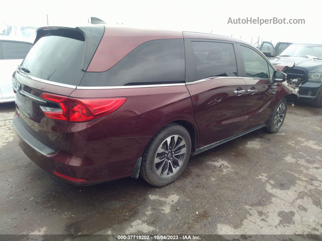 2021 Honda Odyssey Ex-l Burgundy vin: 5FNRL6H79MB006969