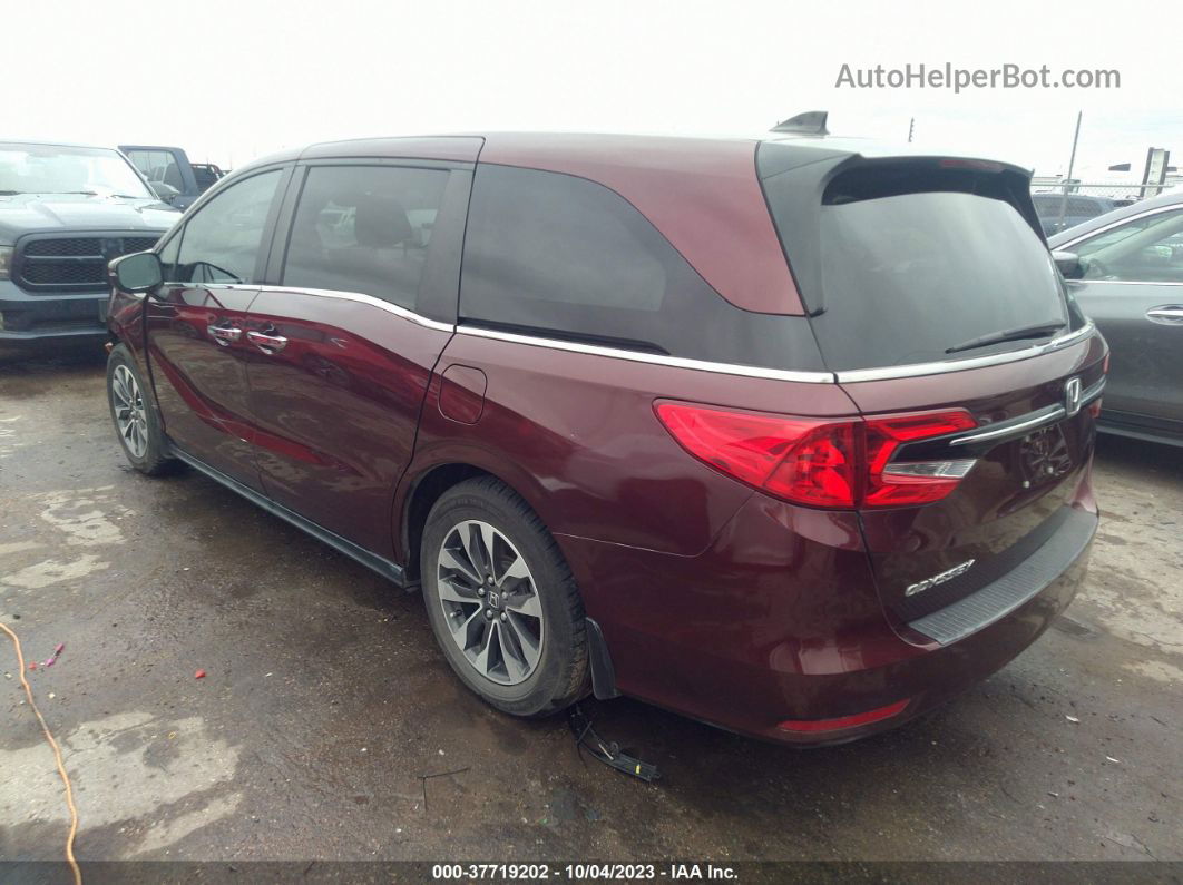 2021 Honda Odyssey Ex-l Burgundy vin: 5FNRL6H79MB006969