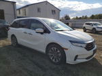 2021 Honda Odyssey Exl Белый vin: 5FNRL6H79MB026221