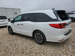 2021 Honda Odyssey Exl White vin: 5FNRL6H79MB026445