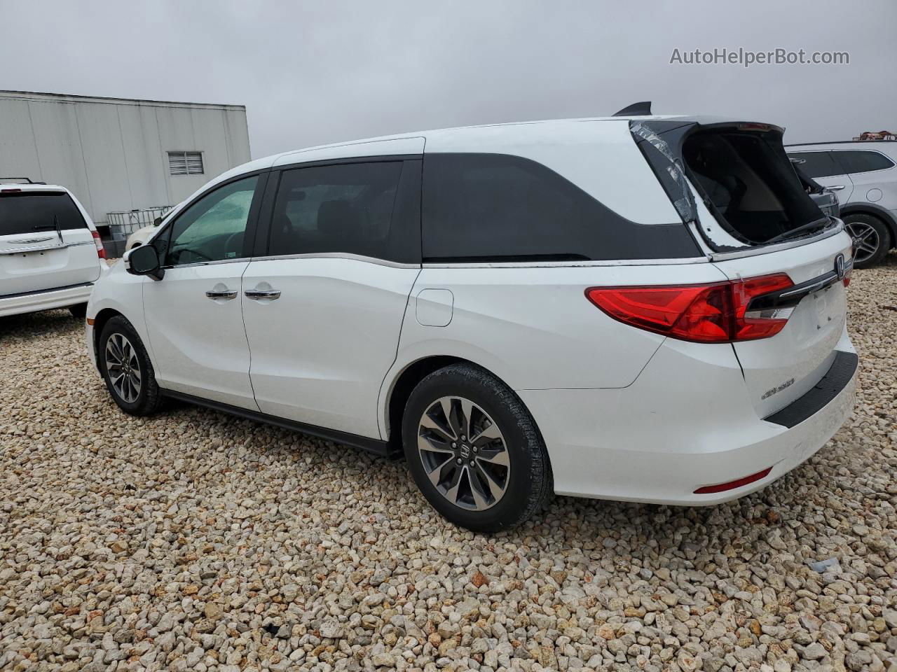 2021 Honda Odyssey Exl Белый vin: 5FNRL6H79MB026445