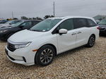 2021 Honda Odyssey Exl White vin: 5FNRL6H79MB026445