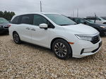 2021 Honda Odyssey Exl Белый vin: 5FNRL6H79MB026445