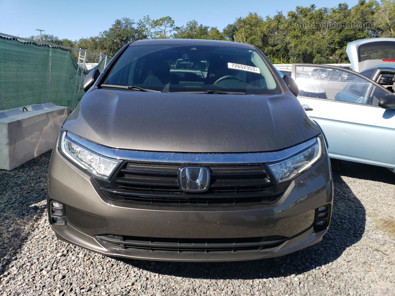 2021 Honda Odyssey Exl Gray vin: 5FNRL6H79MB038434